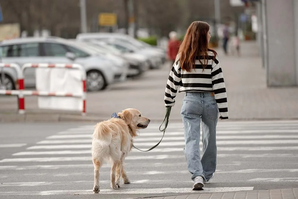 Understanding Your Rights as a Pedestrian in Personal Injury Cases